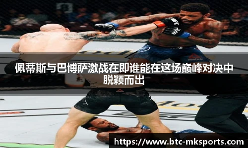 mk体育官网首页